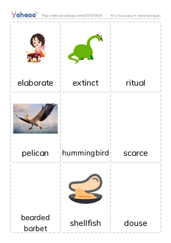 RAZ Vocabulary R: Weird Bird Beaks PDF flaschards with images