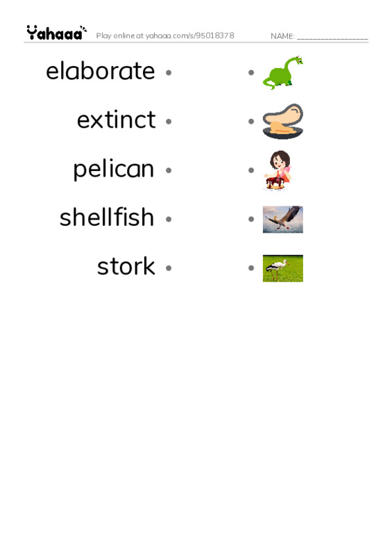 RAZ Vocabulary R: Weird Bird Beaks PDF link match words worksheet
