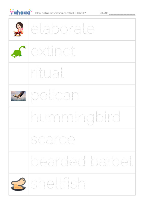 RAZ Vocabulary R: Weird Bird Beaks PDF one column image words