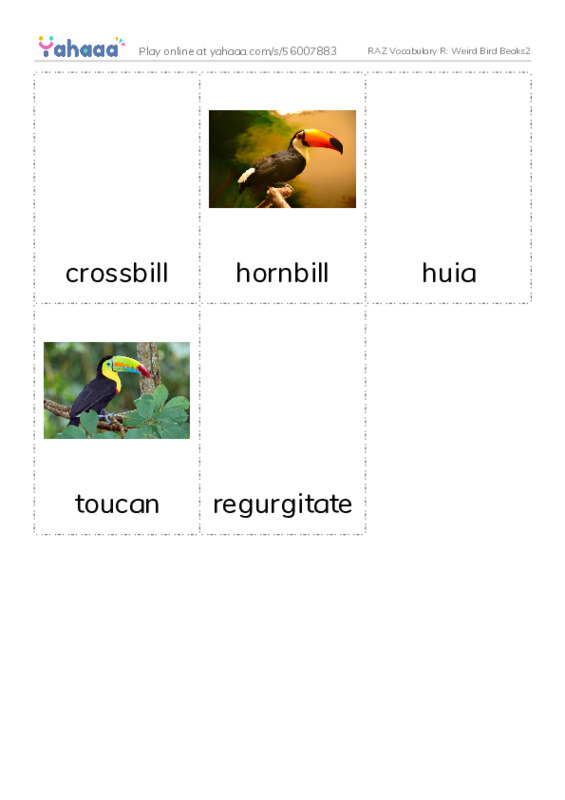 RAZ Vocabulary R: Weird Bird Beaks2 PDF flaschards with images