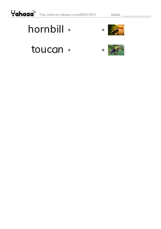 RAZ Vocabulary R: Weird Bird Beaks2 PDF link match words worksheet