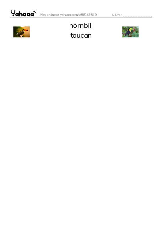 RAZ Vocabulary R: Weird Bird Beaks2 PDF three columns match words