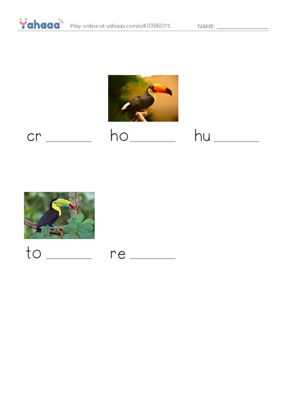 RAZ Vocabulary R: Weird Bird Beaks2 PDF worksheet to fill in words gaps