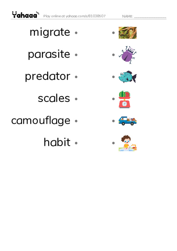 RAZ Vocabulary R: Whale Sharks Giant Fish PDF link match words worksheet