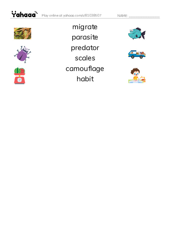 RAZ Vocabulary R: Whale Sharks Giant Fish PDF three columns match words