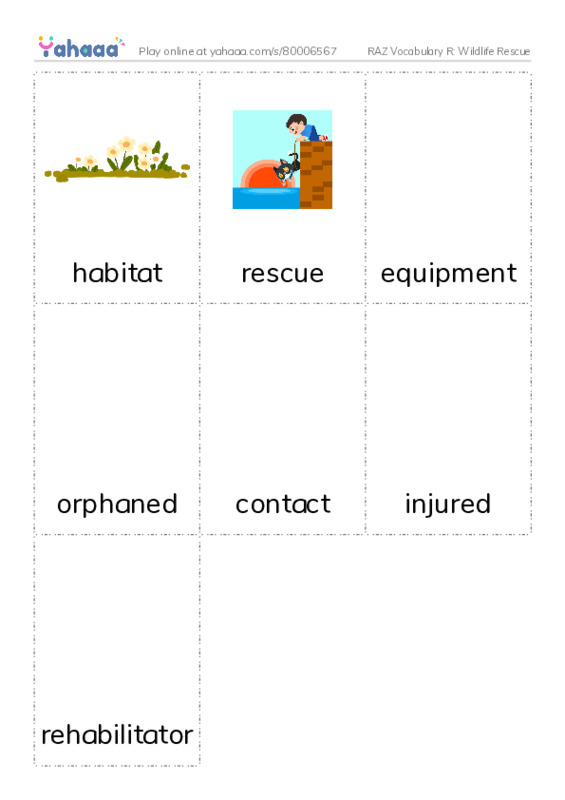 RAZ Vocabulary R: Wildlife Rescue PDF flaschards with images