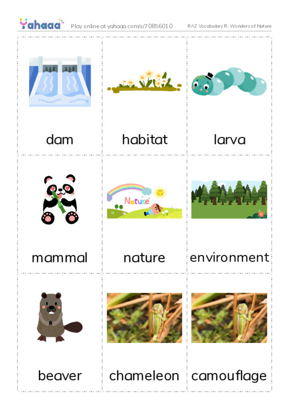 RAZ Vocabulary R: Wonders of Nature PDF flaschards with images
