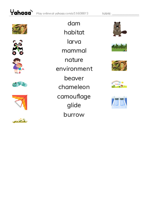 RAZ Vocabulary R: Wonders of Nature PDF three columns match words