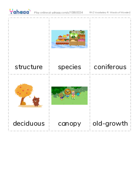 RAZ Vocabulary R: Woods of Wonder2 PDF flaschards with images