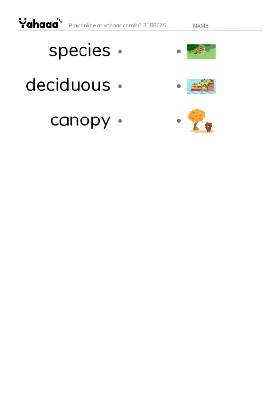 RAZ Vocabulary R: Woods of Wonder2 PDF link match words worksheet