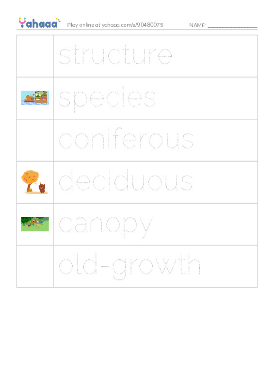 RAZ Vocabulary R: Woods of Wonder2 PDF one column image words