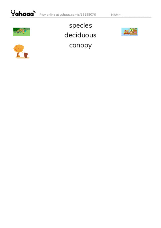 RAZ Vocabulary R: Woods of Wonder2 PDF three columns match words