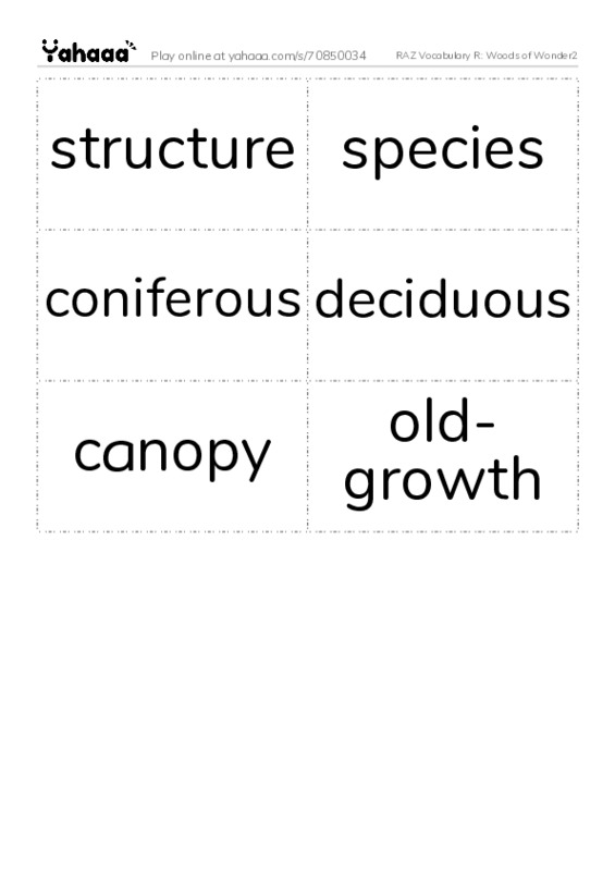 RAZ Vocabulary R: Woods of Wonder2 PDF two columns flashcards