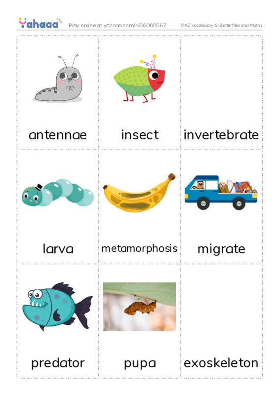 RAZ Vocabulary S: Butterflies and Moths PDF flaschards with images