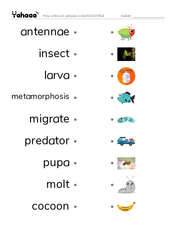 RAZ Vocabulary S: Butterflies and Moths PDF link match words worksheet