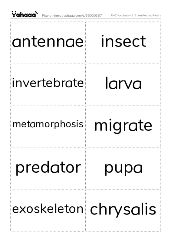 RAZ Vocabulary S: Butterflies and Moths PDF two columns flashcards