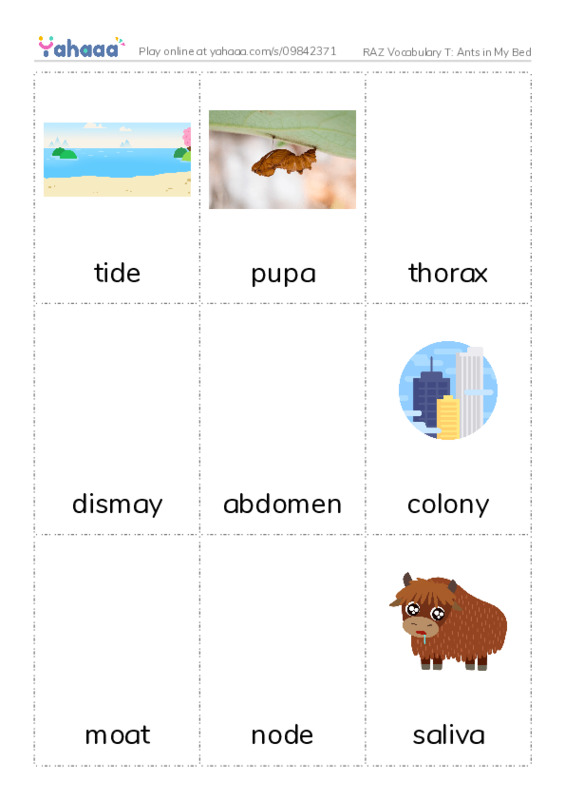 RAZ Vocabulary T: Ants in My Bed PDF flaschards with images