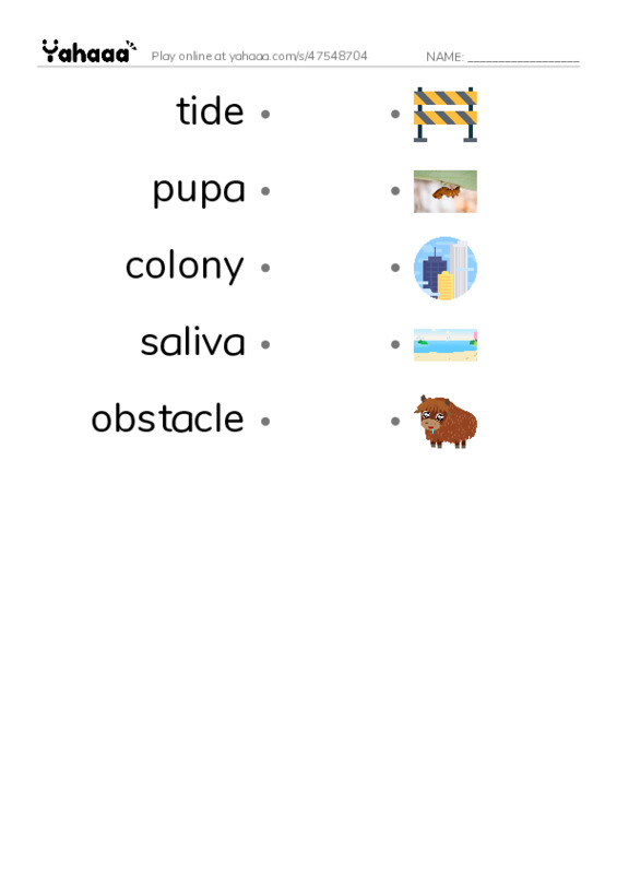 RAZ Vocabulary T: Ants in My Bed PDF link match words worksheet