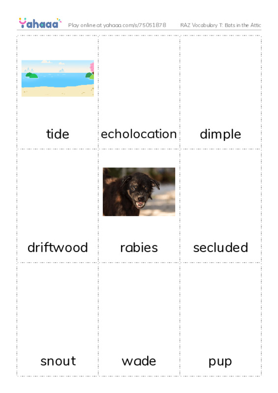 RAZ Vocabulary T: Bats in the Attic PDF flaschards with images