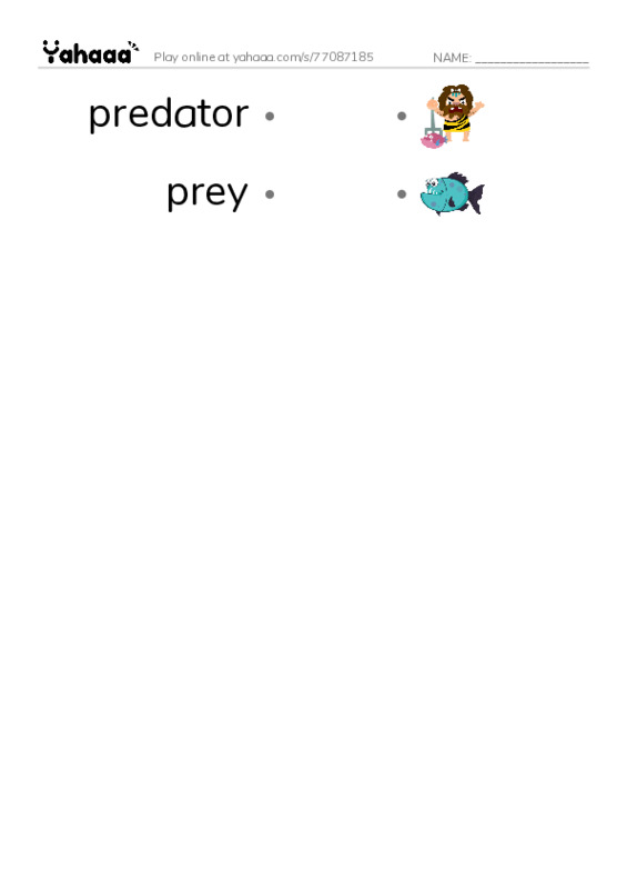 RAZ Vocabulary T: Camouflage PDF link match words worksheet