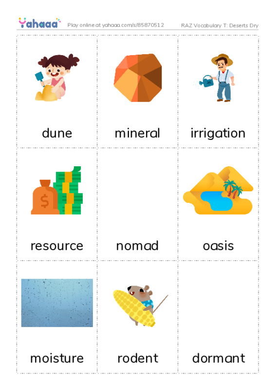 RAZ Vocabulary T: Deserts Dry PDF flaschards with images