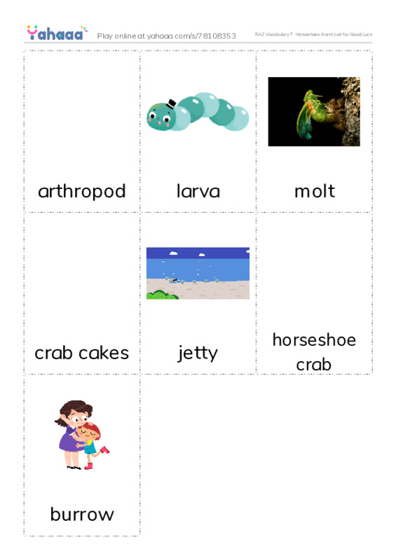 RAZ Vocabulary T: Horseshoes Arent Just for Good Luck PDF flaschards with images
