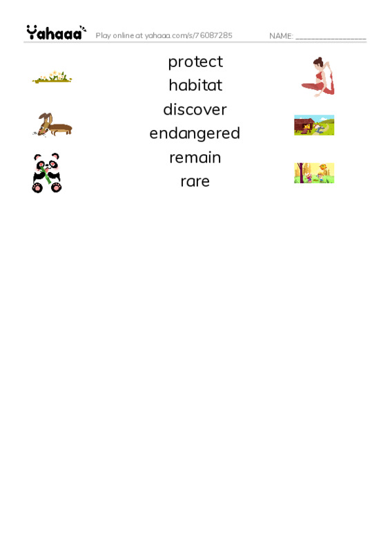 RAZ Vocabulary U: Animal Discoveries PDF three columns match words