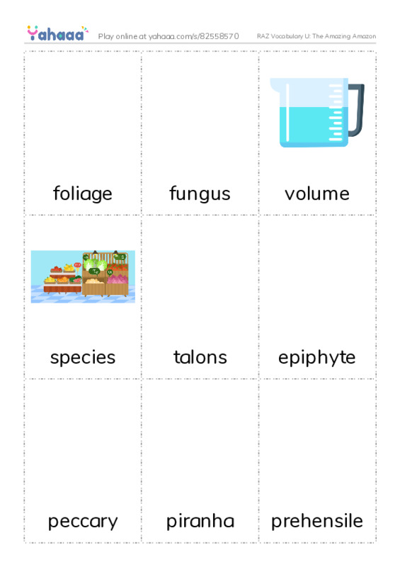 RAZ Vocabulary U: The Amazing Amazon PDF flaschards with images