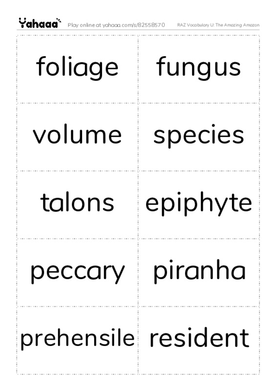 RAZ Vocabulary U: The Amazing Amazon PDF two columns flashcards