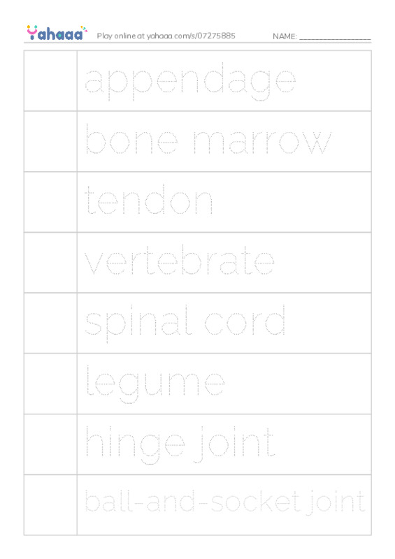RAZ Vocabulary U: The Hard Stuff All About Bones PDF one column image words
