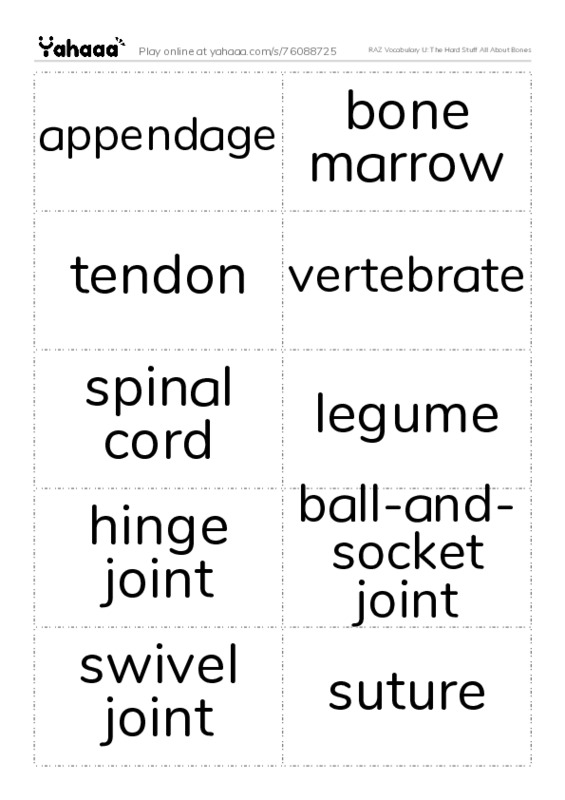 RAZ Vocabulary U: The Hard Stuff All About Bones PDF two columns flashcards