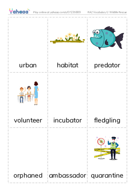 RAZ Vocabulary U: Wildlife Rescue PDF flaschards with images