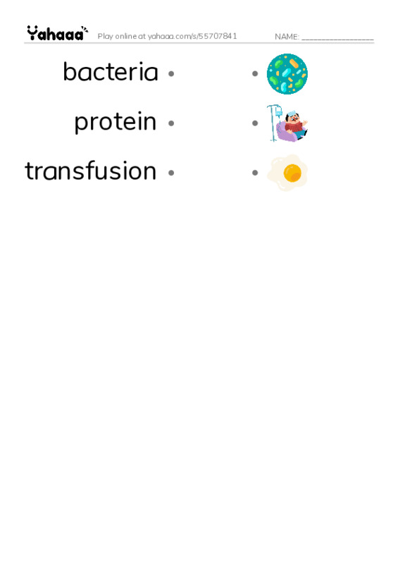 RAZ Vocabulary V: Book of Blood PDF link match words worksheet