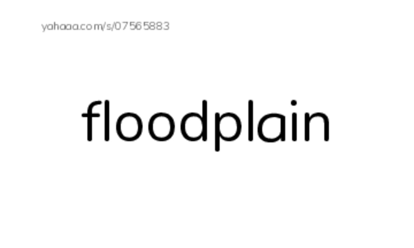 RAZ Vocabulary V: Floods PDF index cards word only