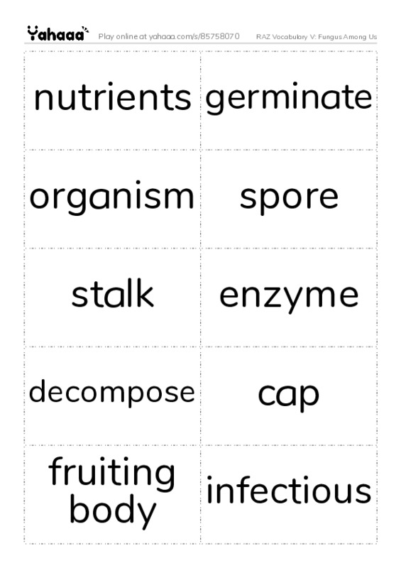 RAZ Vocabulary V: Fungus Among Us PDF two columns flashcards