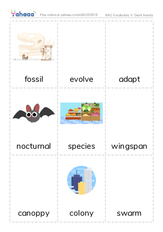 RAZ Vocabulary V: Giant Insects PDF flaschards with images