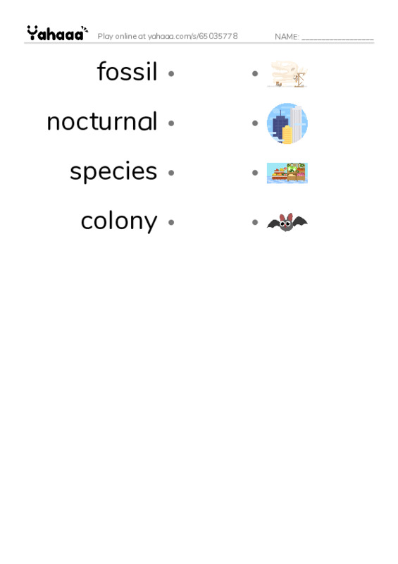 RAZ Vocabulary V: Giant Insects PDF link match words worksheet