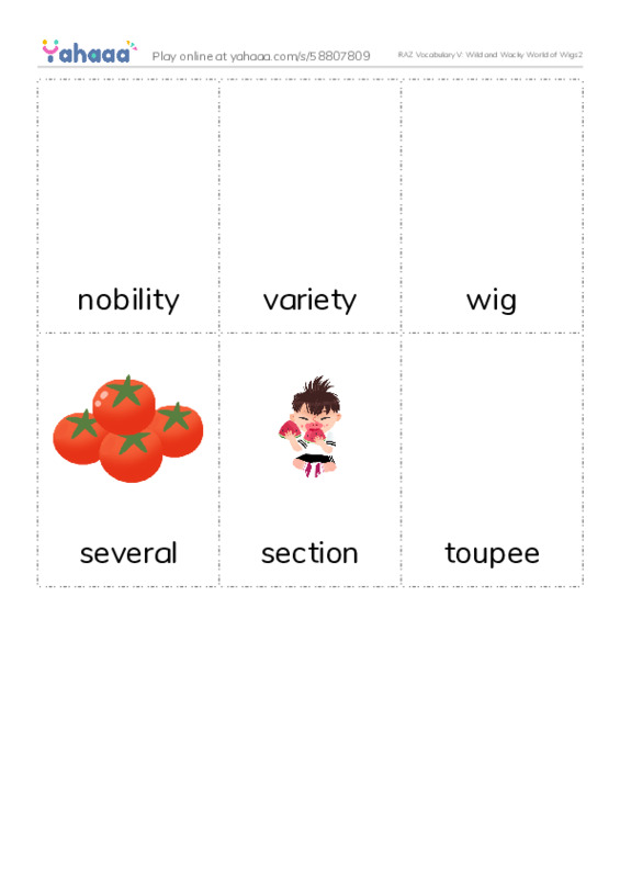 RAZ Vocabulary V: Wild and Wacky World of Wigs2 PDF flaschards with images