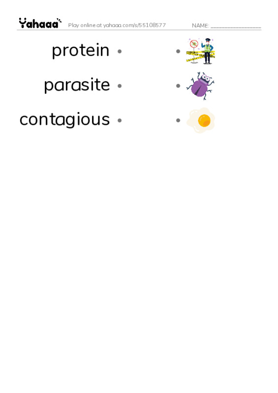 RAZ Vocabulary W: InFLUenza PDF link match words worksheet