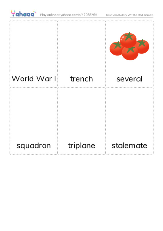 RAZ Vocabulary W: The Red Baron2 PDF flaschards with images