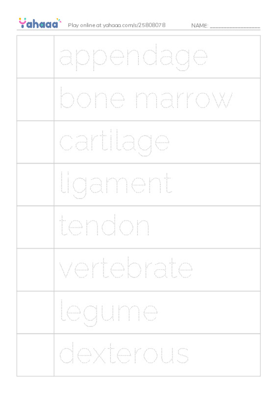 RAZ Vocabulary X: he Hard Stuff All About Bones PDF one column image words