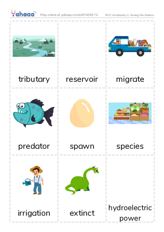 RAZ Vocabulary X: Saving the Salmon PDF flaschards with images