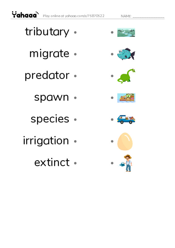 RAZ Vocabulary X: Saving the Salmon PDF link match words worksheet