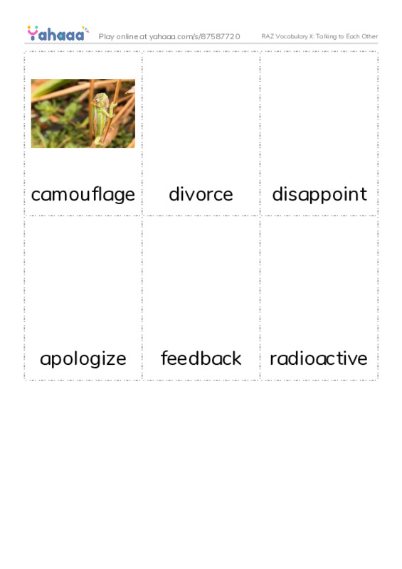 RAZ Vocabulary X: Talking to Each Other PDF flaschards with images