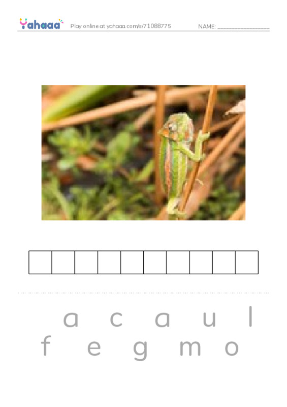 RAZ Vocabulary X: Talking to Each Other PDF word puzzles worksheet