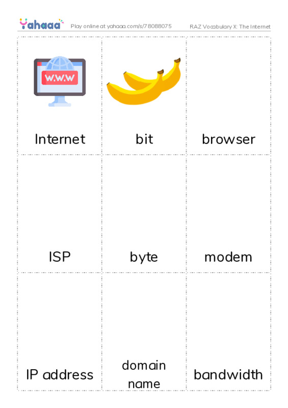 RAZ Vocabulary X: The Internet PDF flaschards with images