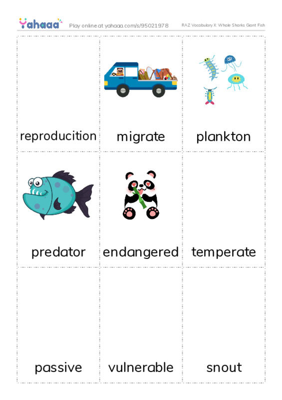 RAZ Vocabulary X: Whale Sharks Giant Fish PDF flaschards with images