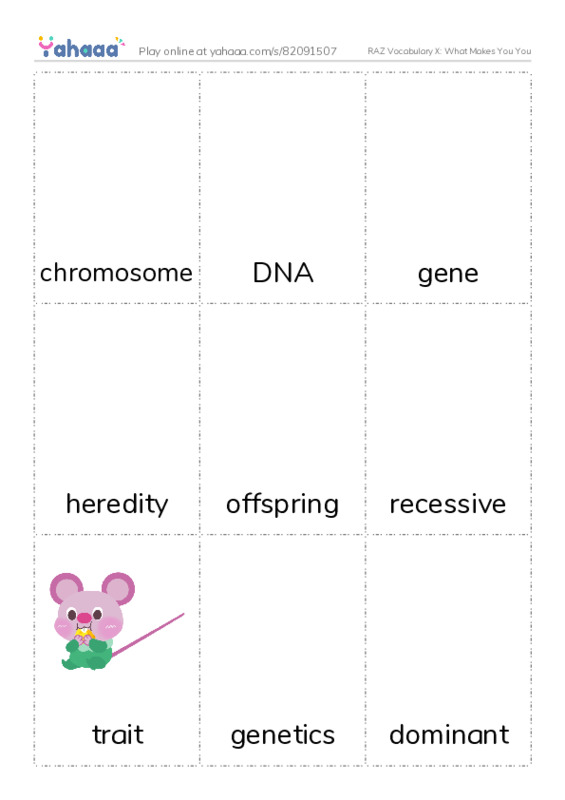 RAZ Vocabulary X: What Makes You You PDF flaschards with images