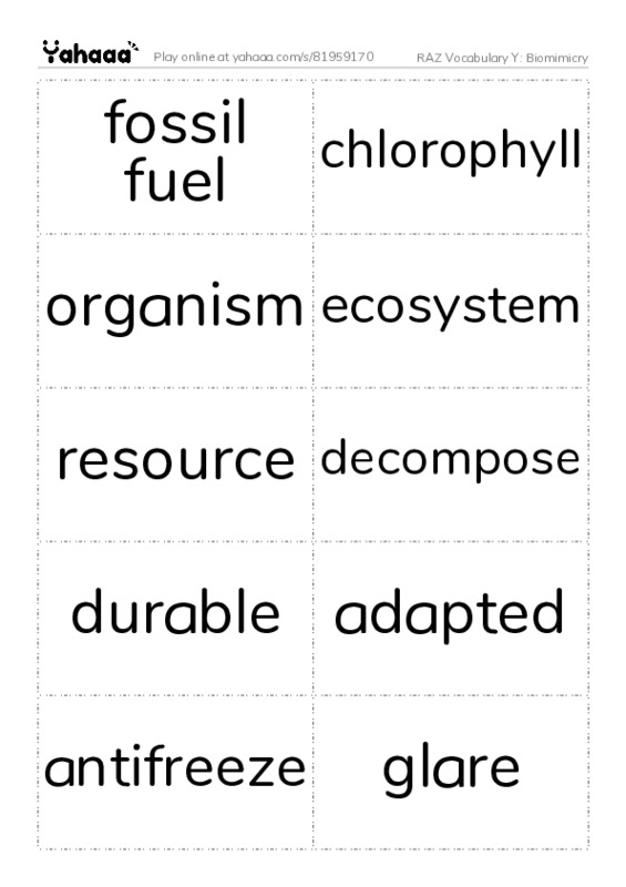RAZ Vocabulary Y: Biomimicry PDF two columns flashcards