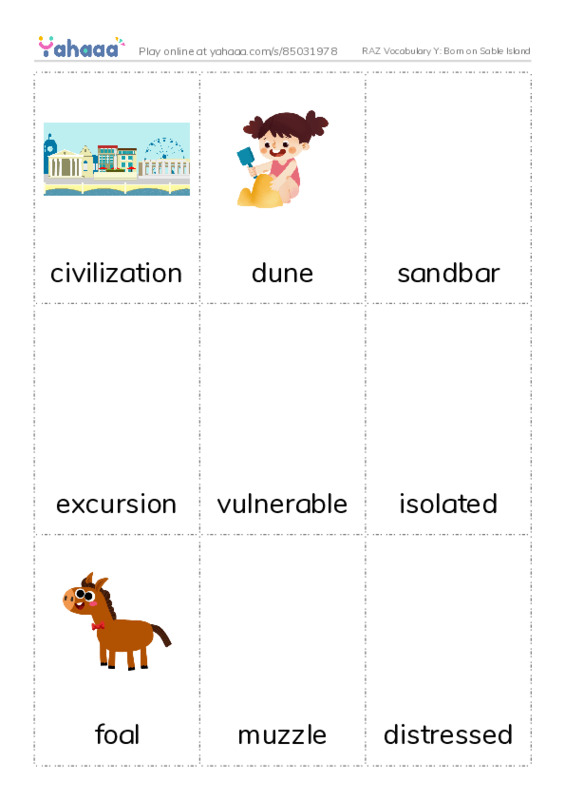RAZ Vocabulary Y: Born on Sable Island PDF flaschards with images